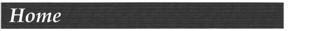 Look closely, its a black belt.